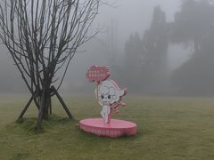 -缙云山景区