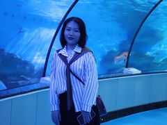 -泉城欧乐堡海洋极地世界