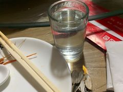 -8号蒸饺精品炖鸽子(康特商街店)