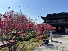 -上海海湾国家森林公园