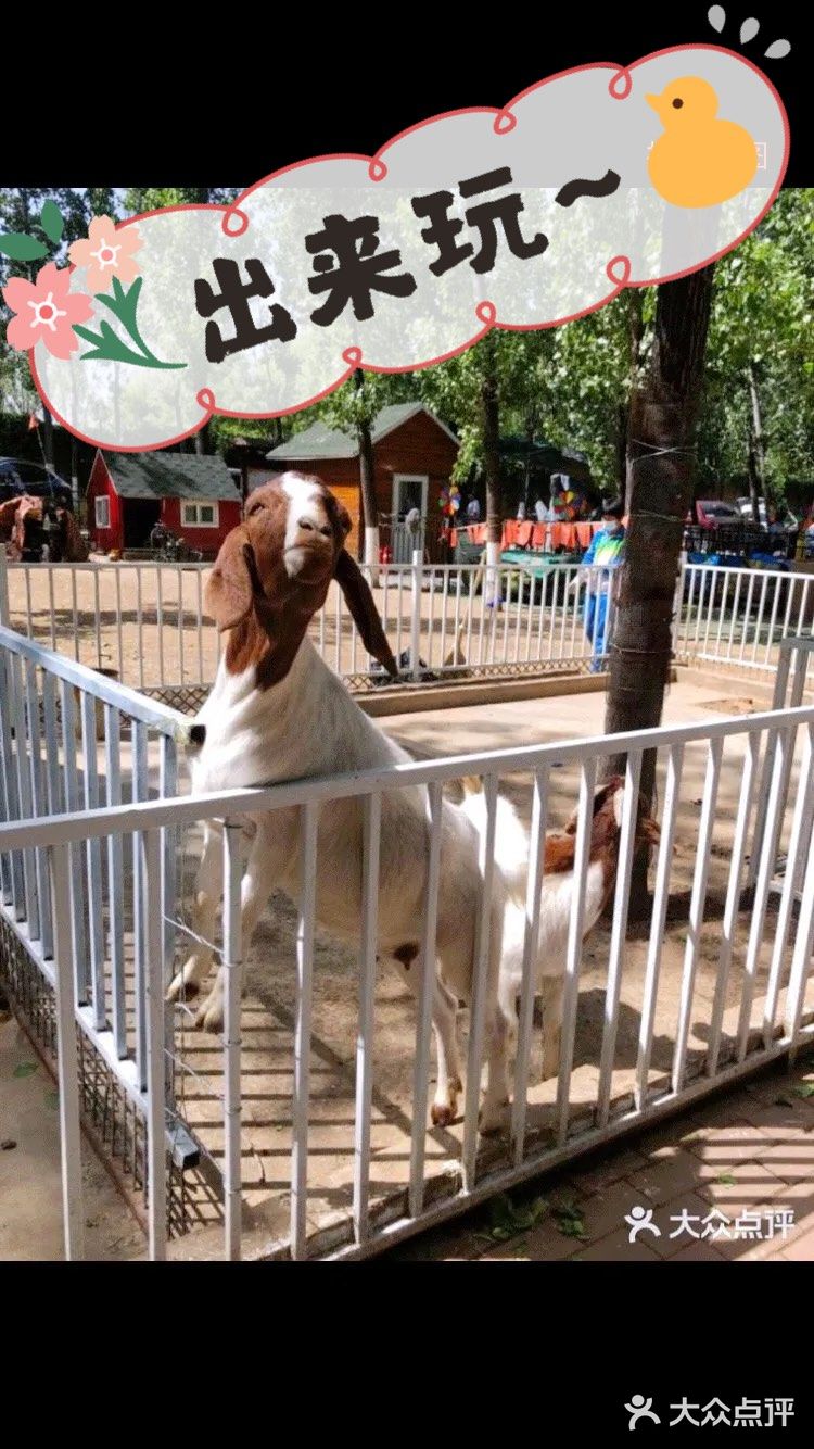 娃娃感受自然，放手奔跑的一天