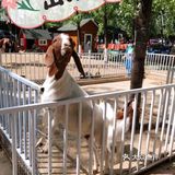 娃娃感受自然，放手奔跑的一天