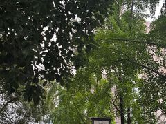 -听香·678茶铺(猛追湾店)