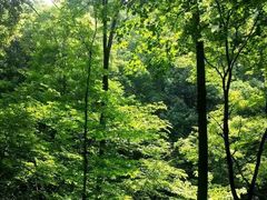 -三块石国家森林公园