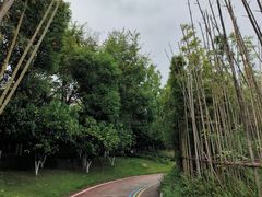 -晓友烧麦(光华村店)