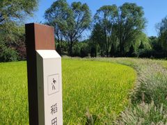 -北坞公园