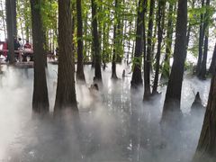 -东湖落雁景区