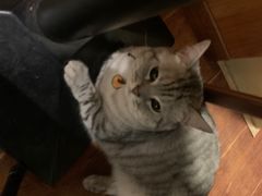 -H立方实景剧情密室(天河旗舰店)