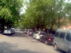 -三里屯东五街银杏大道