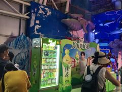 -烟台海昌鲸鲨海洋公园