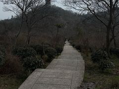 -巢湖姥山岛