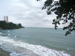 -卷心菜和避孕套餐厅(Pattaya)
