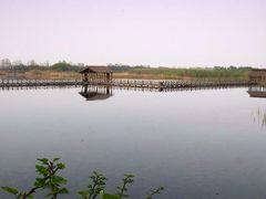 景点-溱湖国家湿地公园