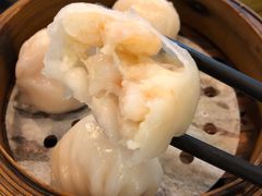 添运来虾饺皇-添运来(茶园奥园广场店)