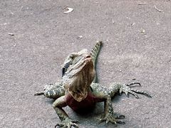 -可伦宾野生动物保护区