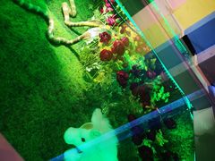 -幸福花欢乐世界(东辰广场A座店)
