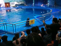 -多彩贵州城极地海洋世界