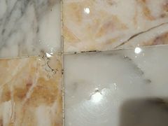 -乐圣量贩KTV自助餐(崇文店)