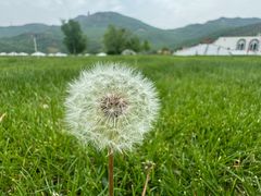 -潭柘厚院&山顶烤肉(潭柘寺店)