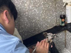 -宠物家(角门东店)