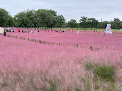 -汉长安城未央宫国家考古遗址公园