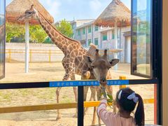 -西霞口神雕山野生动物世界