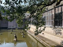-滴水洞景区
