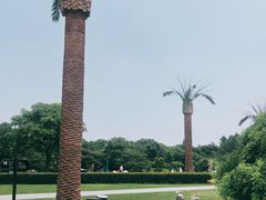 -上海月湖雕塑公园