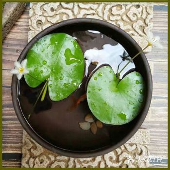 原来这叫一叶莲，说实话还是第一次知道呢