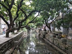 -小洲村