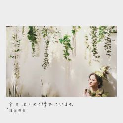 点击看大图 -日光视觉婚纱摄影(旗舰店)