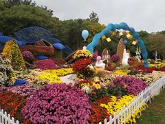 -上海共青森林公园