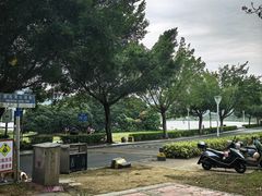 -风云岭森林公园