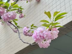 -四川大学(华西校区)