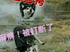 -秦岭欢乐世界