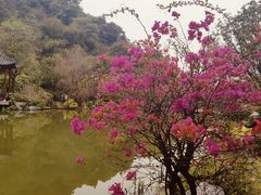 -云溪植物园