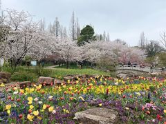 -苏州上方山国家森林公园