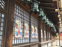 -奈良公园