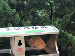 -棒棰岛宾馆景区