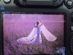 飞鱼婚纱摄影·20000平片场多元化风格-飞鱼婚纱摄影(宏福大厦店)
