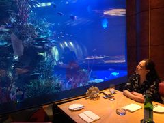 -迪拜帆船酒店海底餐厅