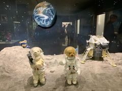 -济州岛泰迪熊博物馆