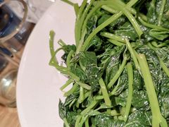 清炒红薯叶-董厨煨汤馆(车站路店)