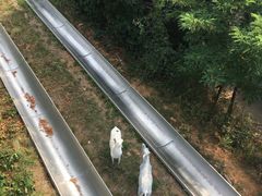 景点-富斯特索道