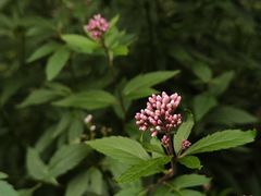 -区行政办公中心5号地块绿地-地下停车场