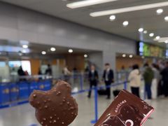-上海浦东国际机场-T2航站楼