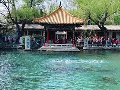 -趵突泉景区