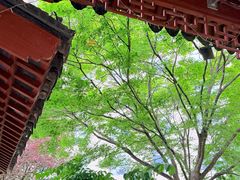 -九献创意菜·牛排馆(亮马河花园店)