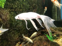 -厦门海底世界