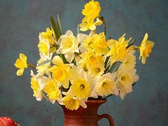 -宽板凳老灶火锅(南礼士路店)